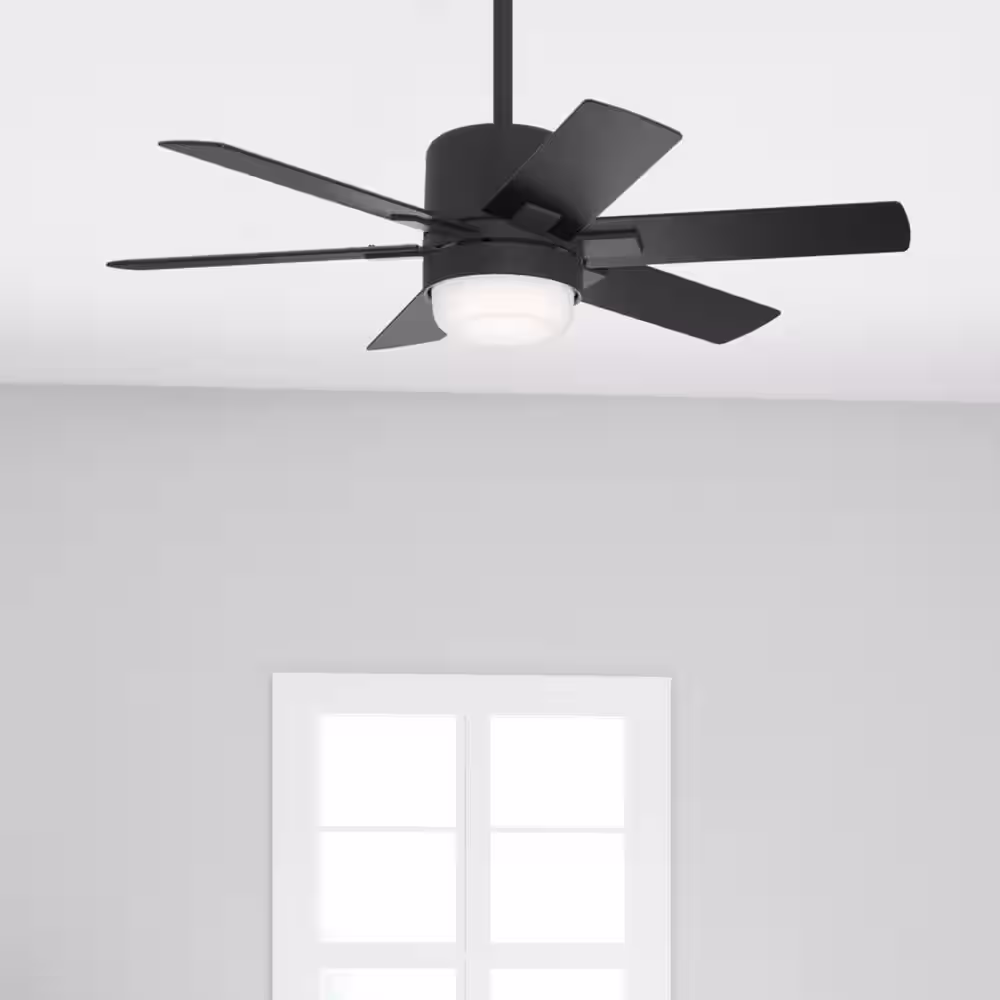 Hunter Radeon 44 in. Indoor Matte Black Smart Ceiling Fan with Light Kit and Wall Switch