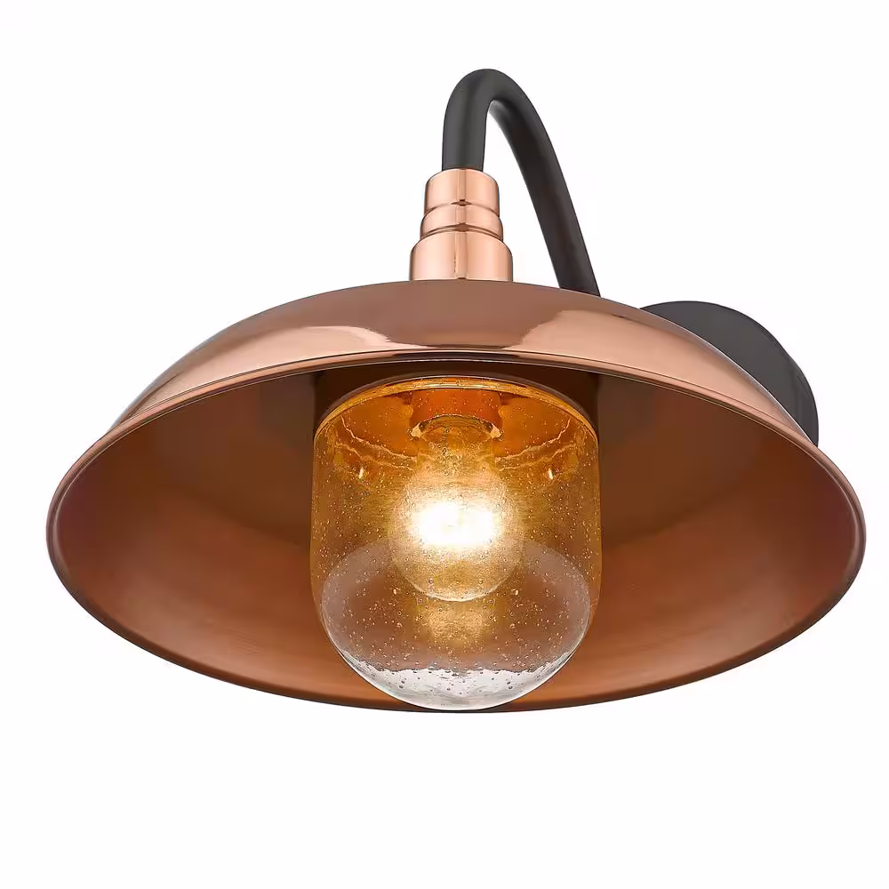 Acclaim Lighting Burry 1-Light Copper Outdoor Wall Sconce