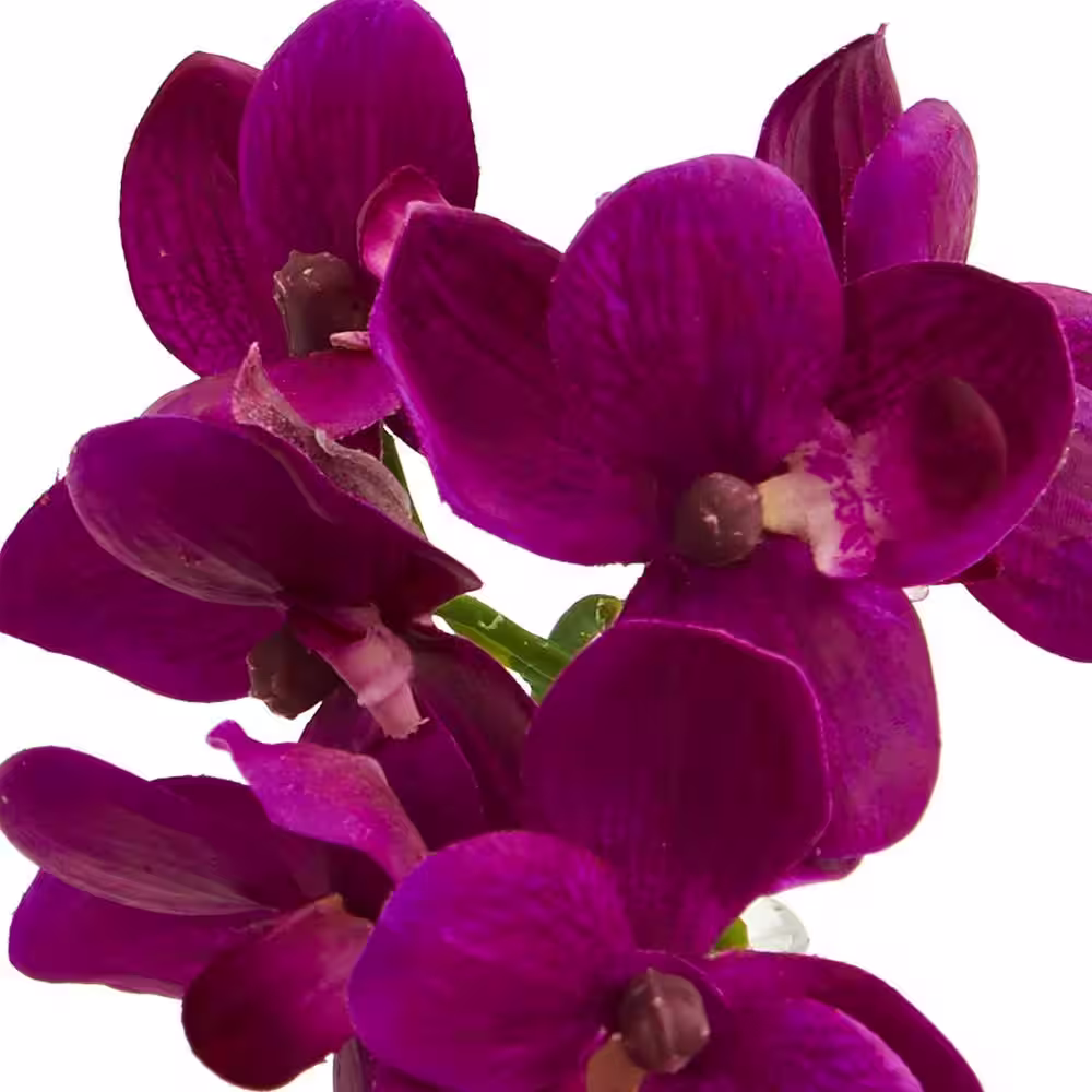 Nearly Natural 9 in. Phalaenopsis Orchid Artificial Arrangement in Vase (Set of 3)