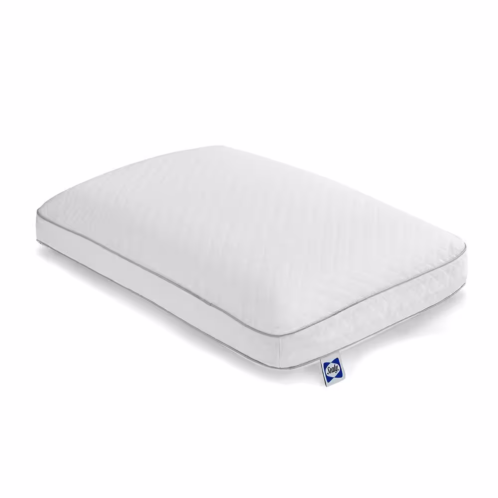 Sealy Essentials 24 in. x 16 in. Classic Memory Foam Standard Bed Pillow