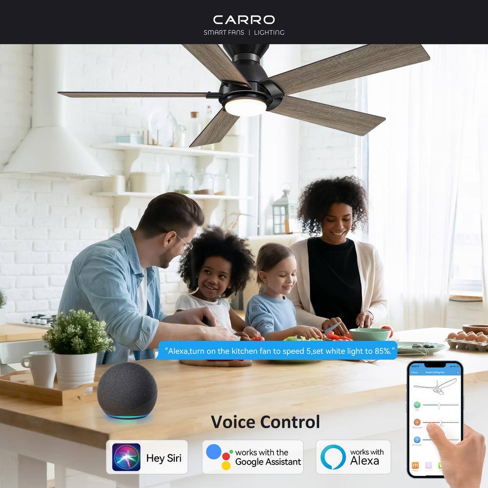 CARRO Aspen 52 in. Dimmable LED Indoor/Outdoor Black Smart Ceiling Fan with Light and Remote, Works with Alexa/Google Home