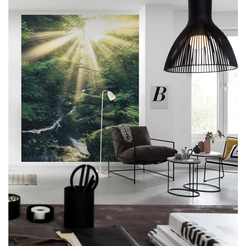Komar Jungle Tree Sunrise Wall Mural