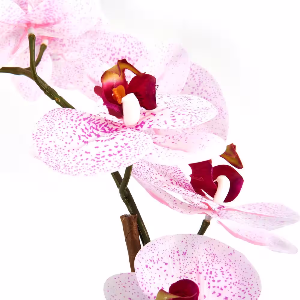 Mikasa Real Touch 21- inch-Pink Spotted- Artificial Phalaenopsis Orchid Flower in Pot