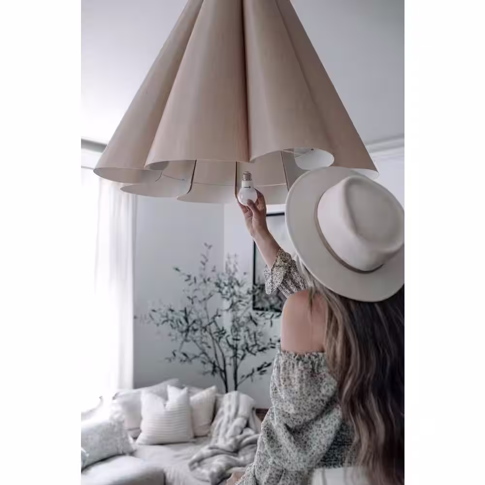 EcoSmart 60-Watt Equivalent A19 Dimmable Energy Star LED Light Bulb Soft White (4-Pack)