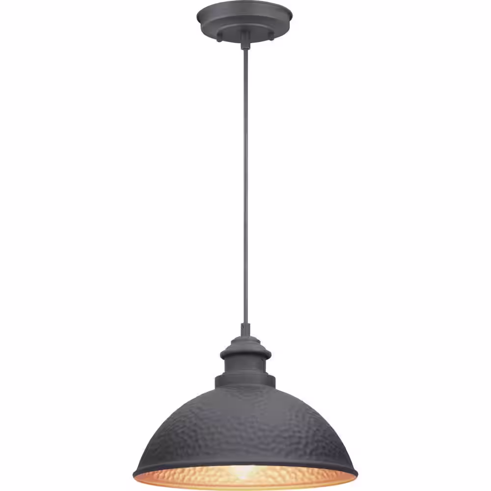 Progress Lighting Englewood Collection 1-Light Textured Black Farmhouse Outdoor Hanging Lantern Light