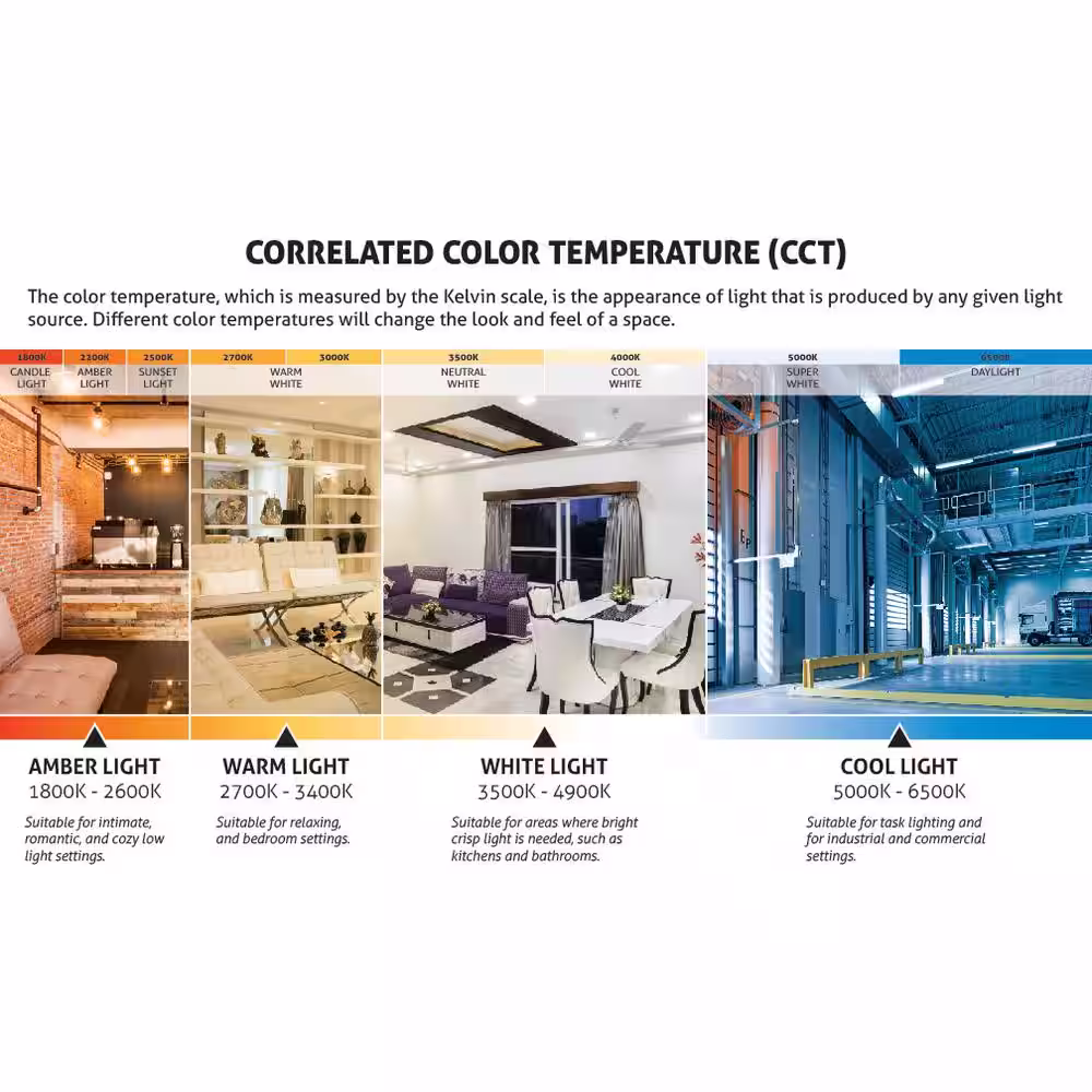 Sunlite 8-Watt 12 in. Linear T5 Mini Bi-pin Base Fluorescent Tube Light Bulb, Black Light (10-Pack)