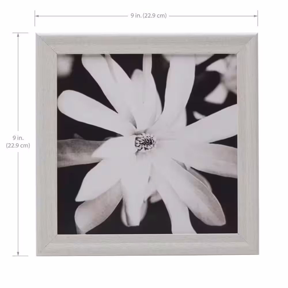 Melannco Set of 9-9.25 in. x 9.25 in. MDF White Frames/Hold 8 x 8 Photos