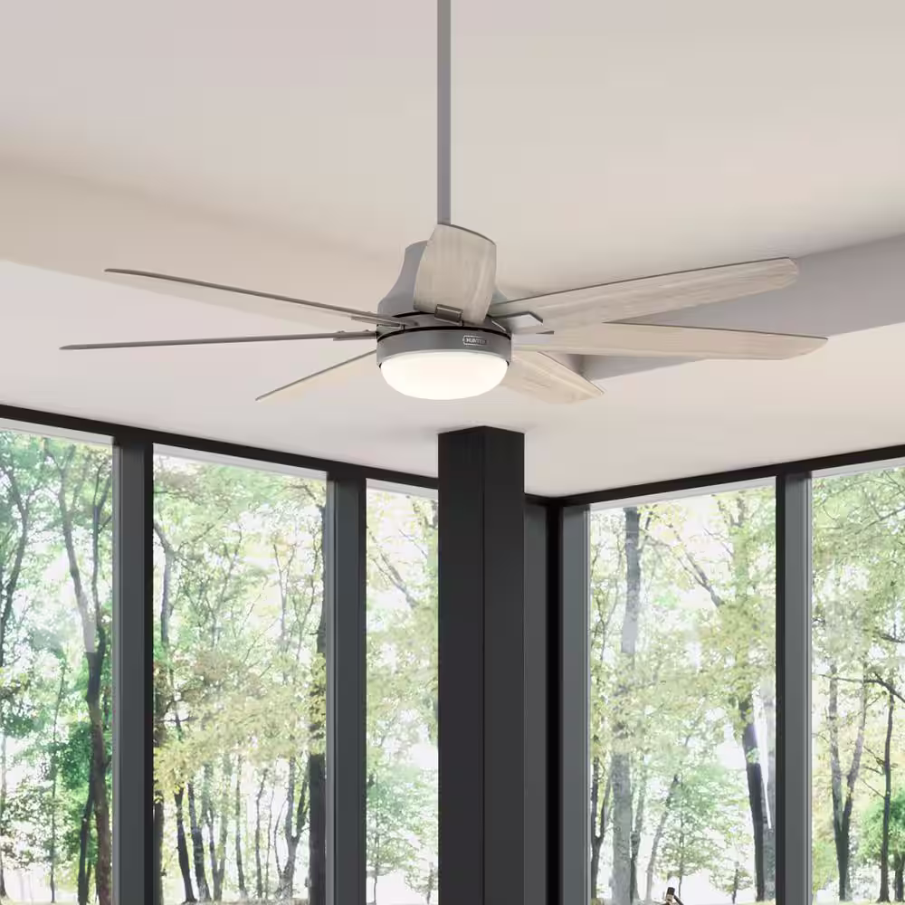 Hunter Wilder 60 in. Indoor Matte Silver Ceiling Fan with Remote Control and Light Kit