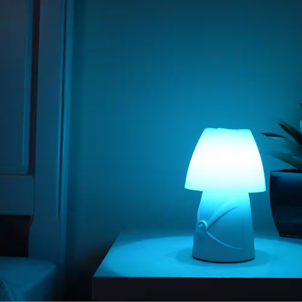 Sensor Brite LED Night Light Lamp