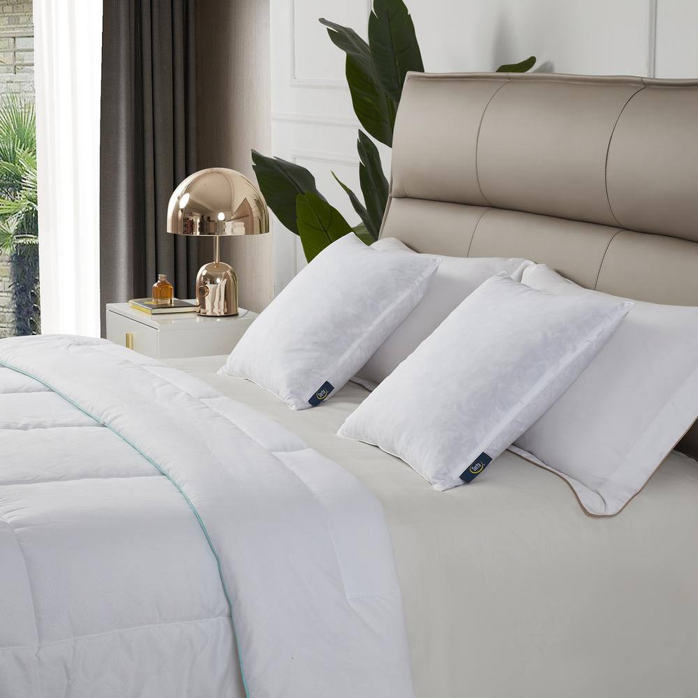 Serta 100% Cotton Medium Firm Decorative Feather Pillow Insert 2-Pack