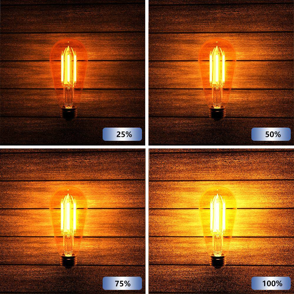 FENBAO 60-Watt Equivalent ST19 Dimmable LED Vintage Glass Edison Light Bulb Warm white Glow Effect (2200K) (1-Piece)