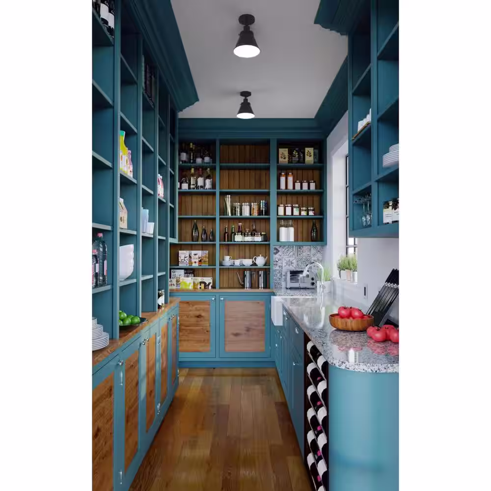 Progress Lighting Hinton Collection 1-Light Matte Black Vintage Flush Mount Ceiling Light