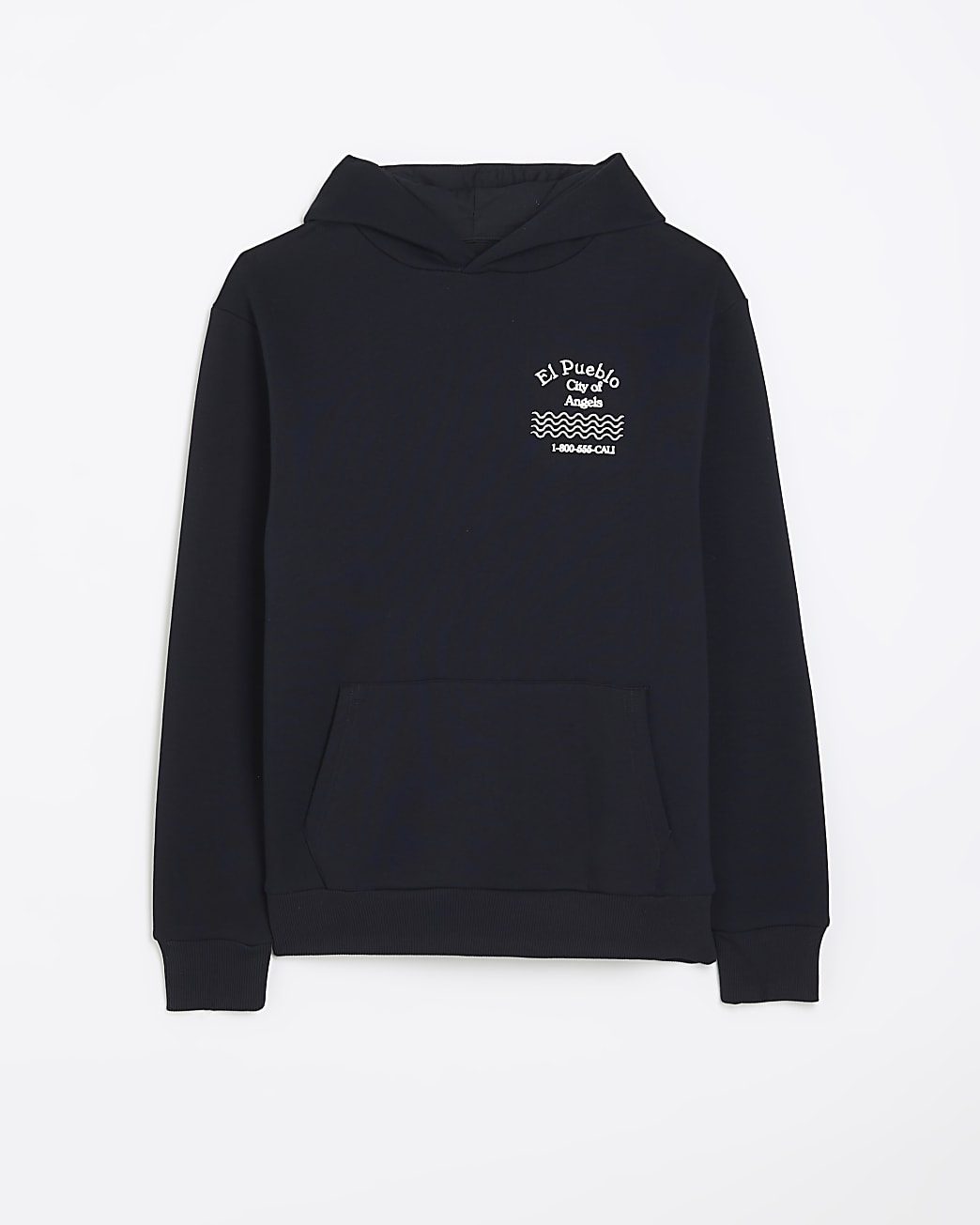 Navy regular fit graphic embroidered hoodie