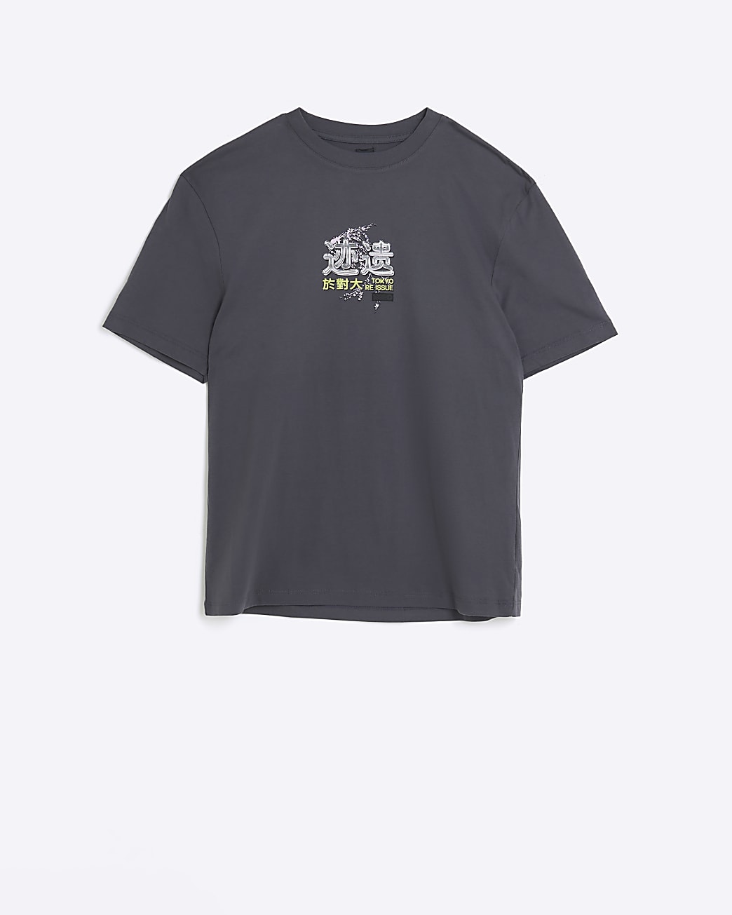 Grey regular fit Japanese graphic t-shirt