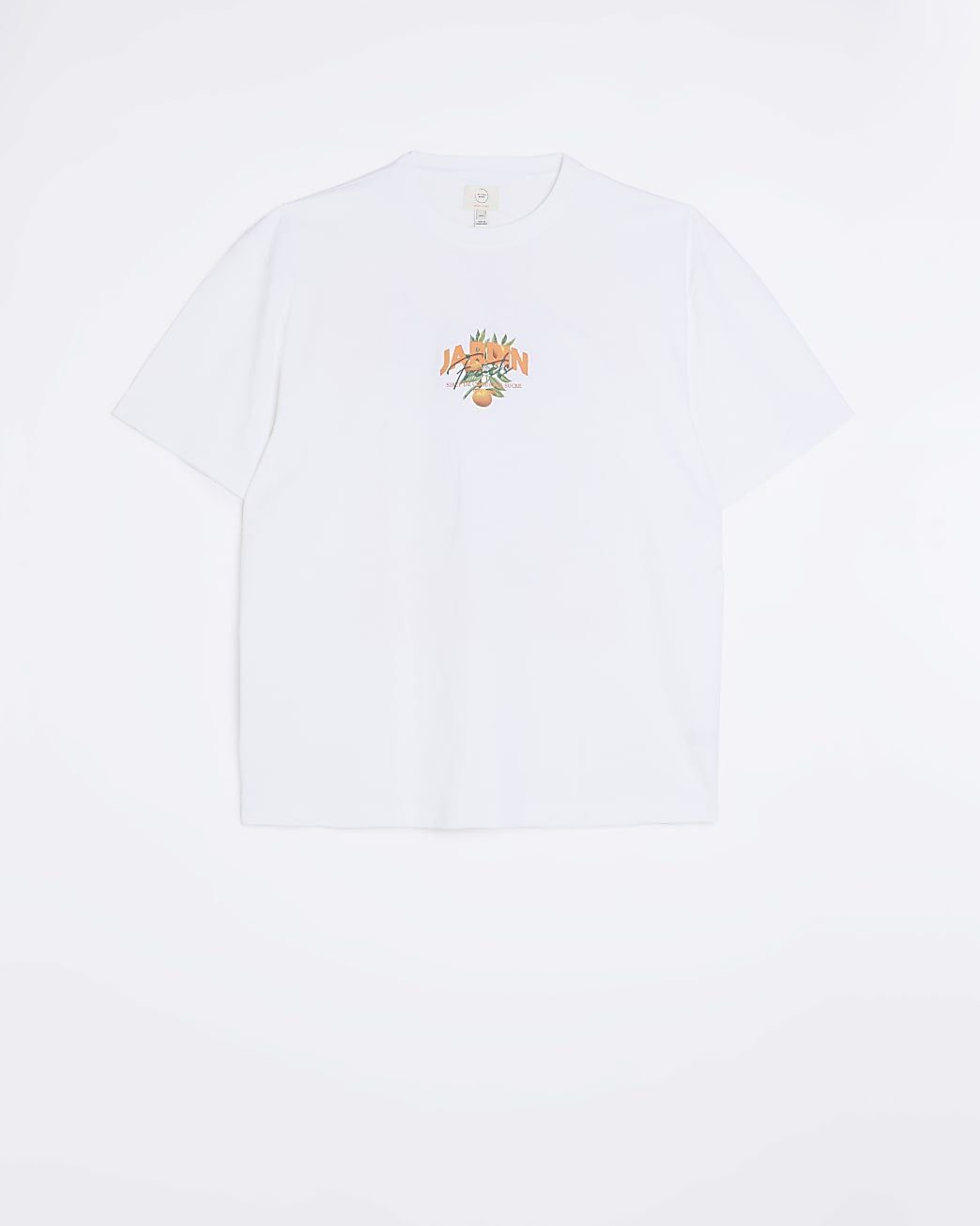 Big & Tall white regular fit graphic t-shirt