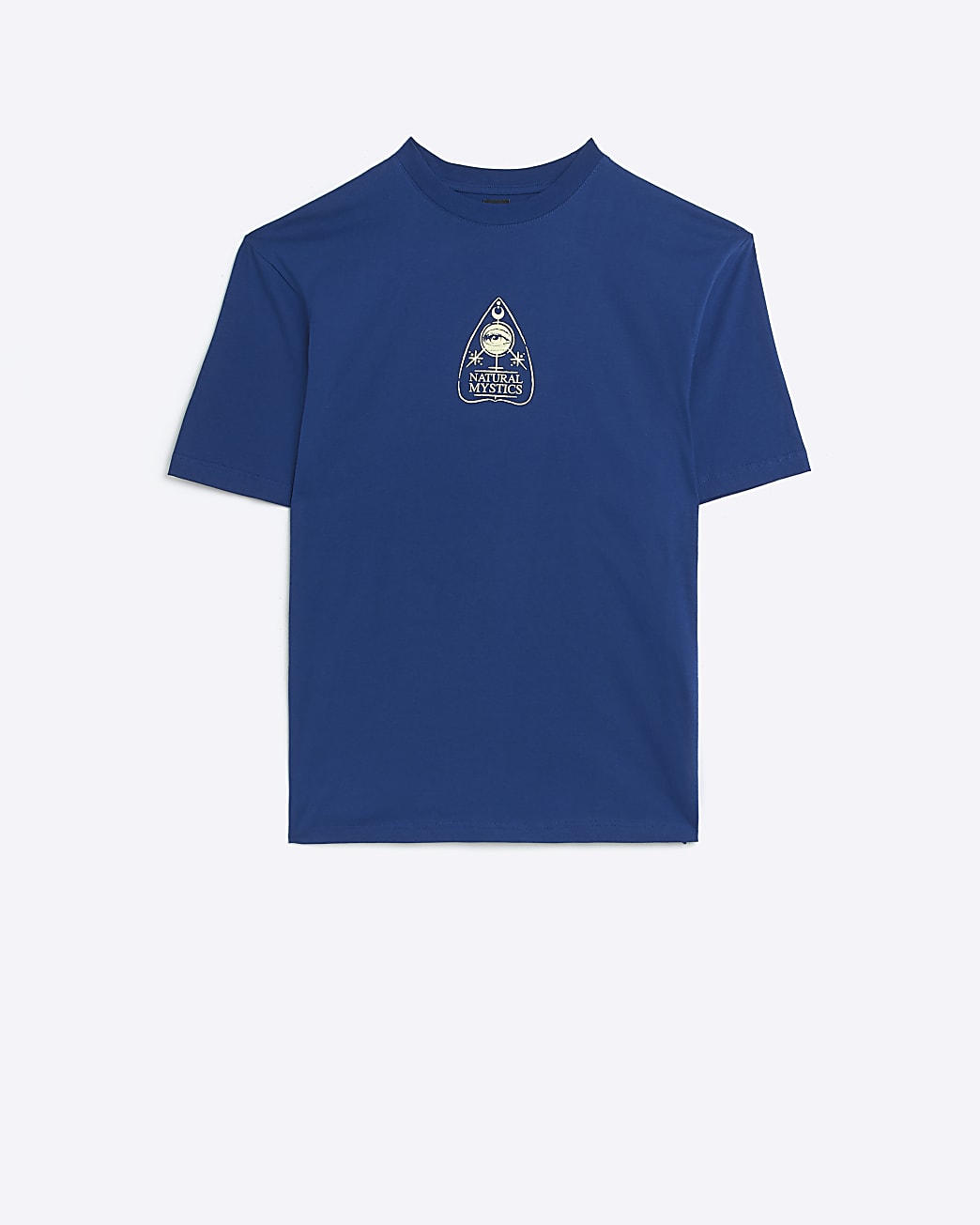 Blue regular fit graphic print t-shirt
