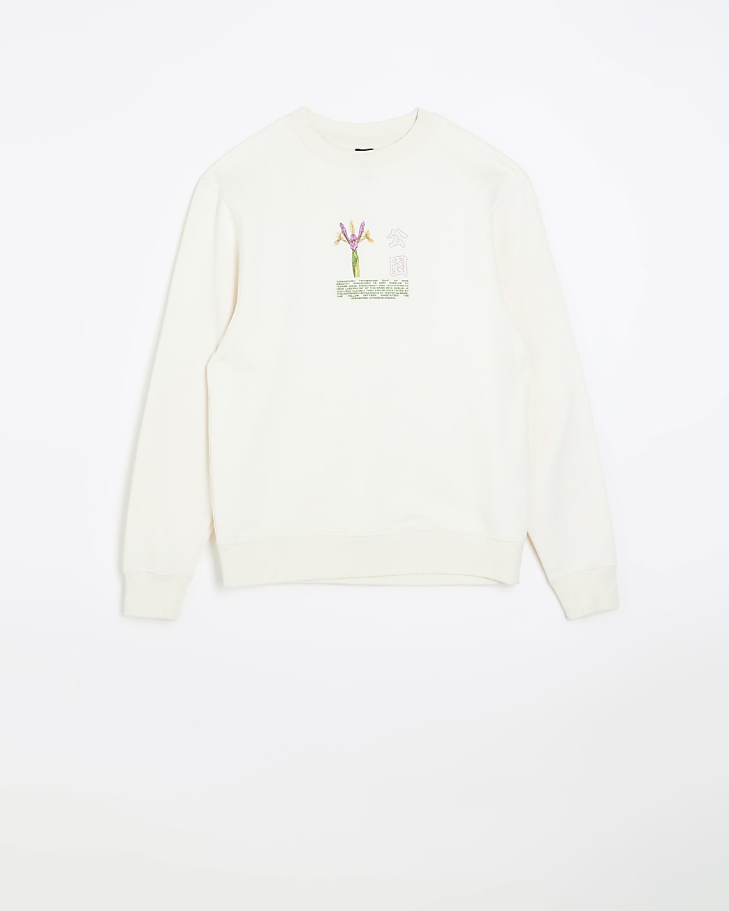 Ecru regular fit Japanese graphic sweatshirt