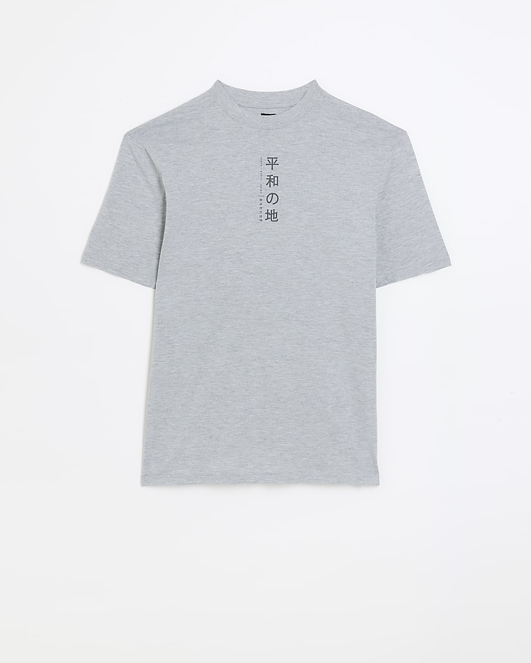 Grey regular fit Japanese graphic t-shirt
