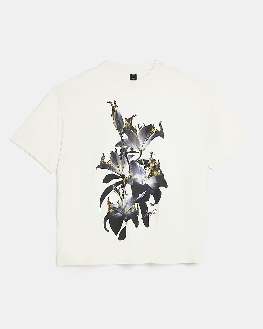 Big & Tall ecru oversized fit graphic t-shirt