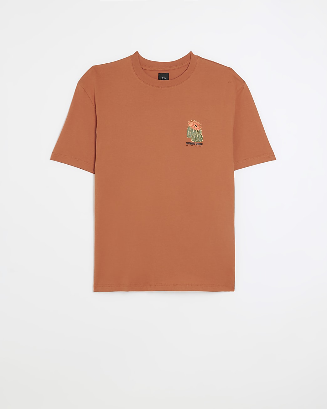Rust regular fit cactus graphic t-shirt