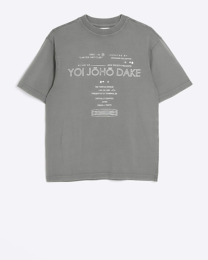 Washed grey regular fit graphic t-shirt