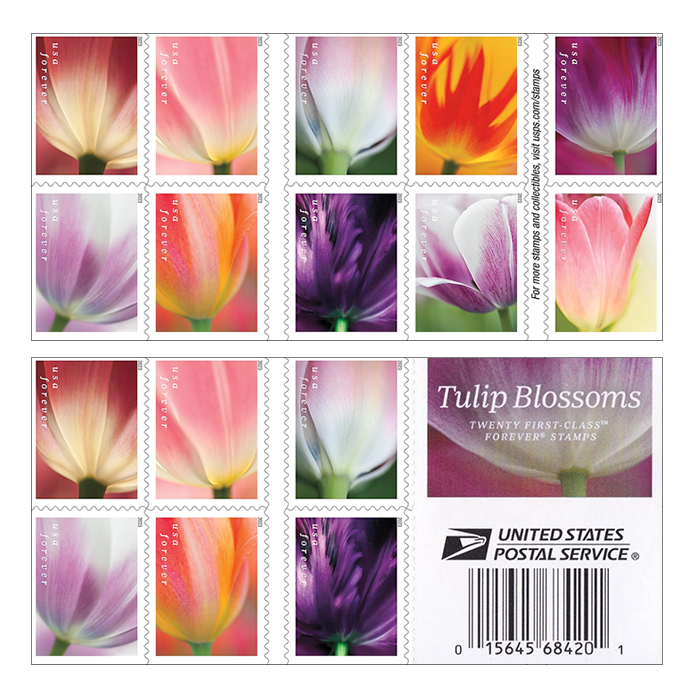 Tulip Blossoms Forever Stamp uspsstamps