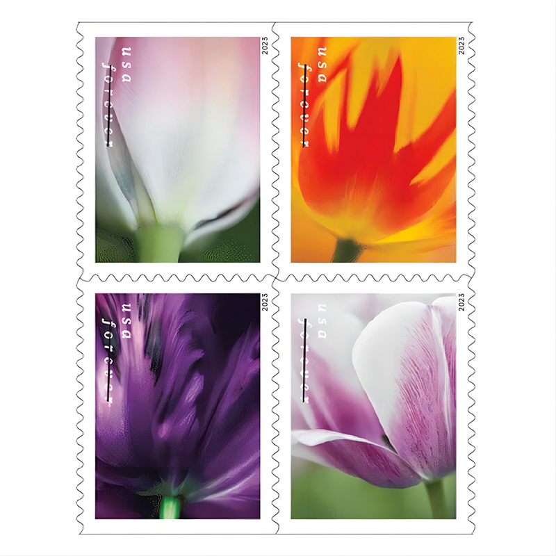 Tulip Blossoms Forever Stamp uspsstamps