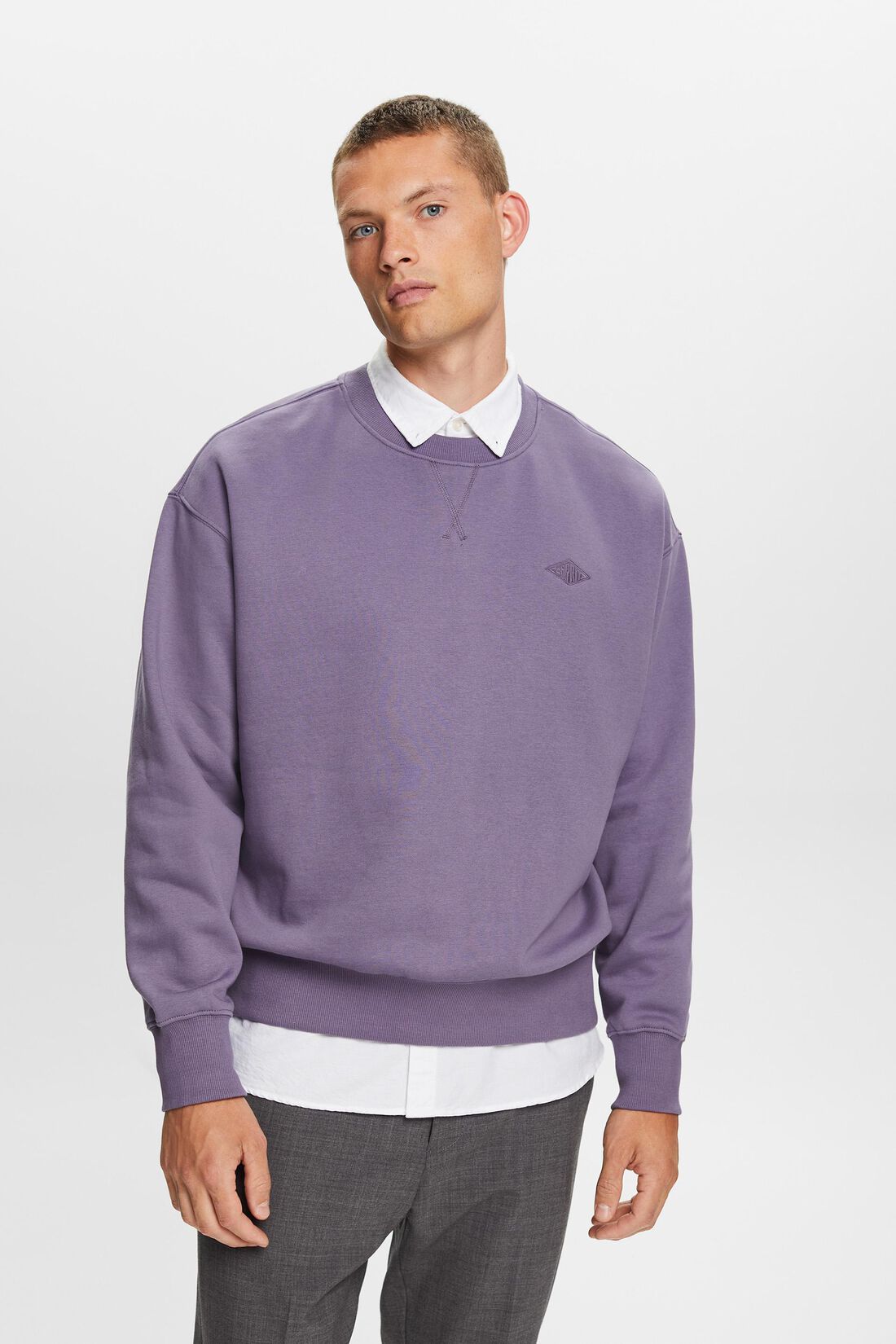 Sweatshirt mit Logostickerei