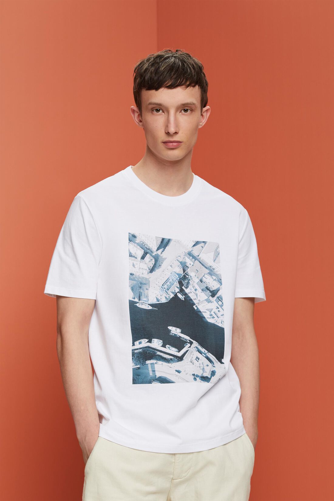 Bedrucktes Jersey-T-Shirt, 100% Baumwolle