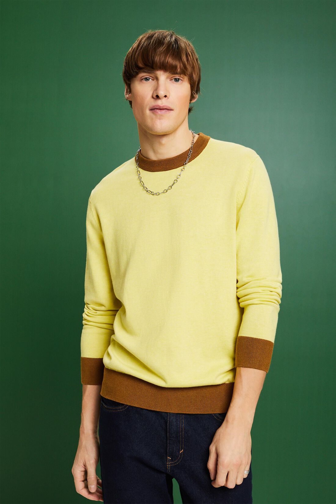 Strickpullover mit Rundhalsausschnitt