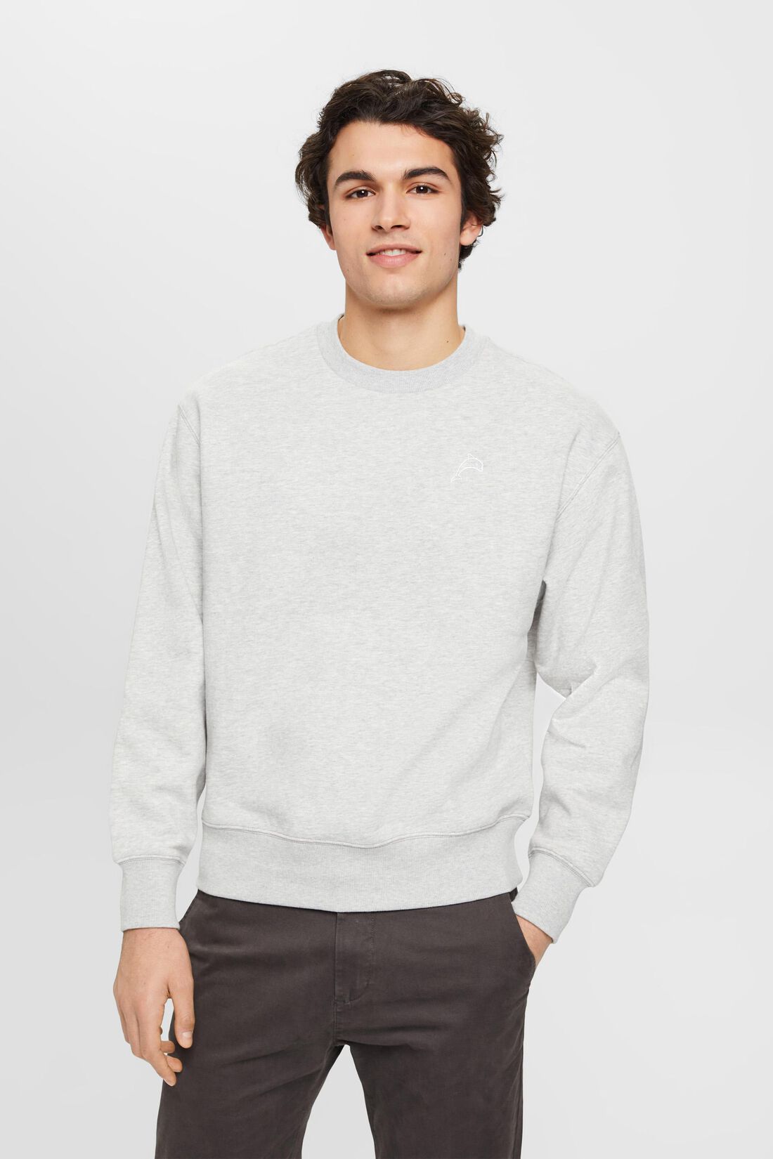 Sweatshirt mit kleinem Delfinprint