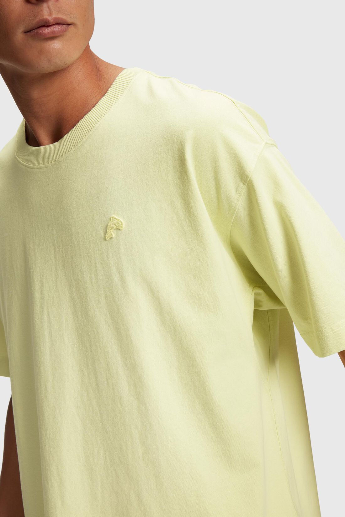 Relaxed Fit T-Shirt mit farbigem Dolphin-Batch
