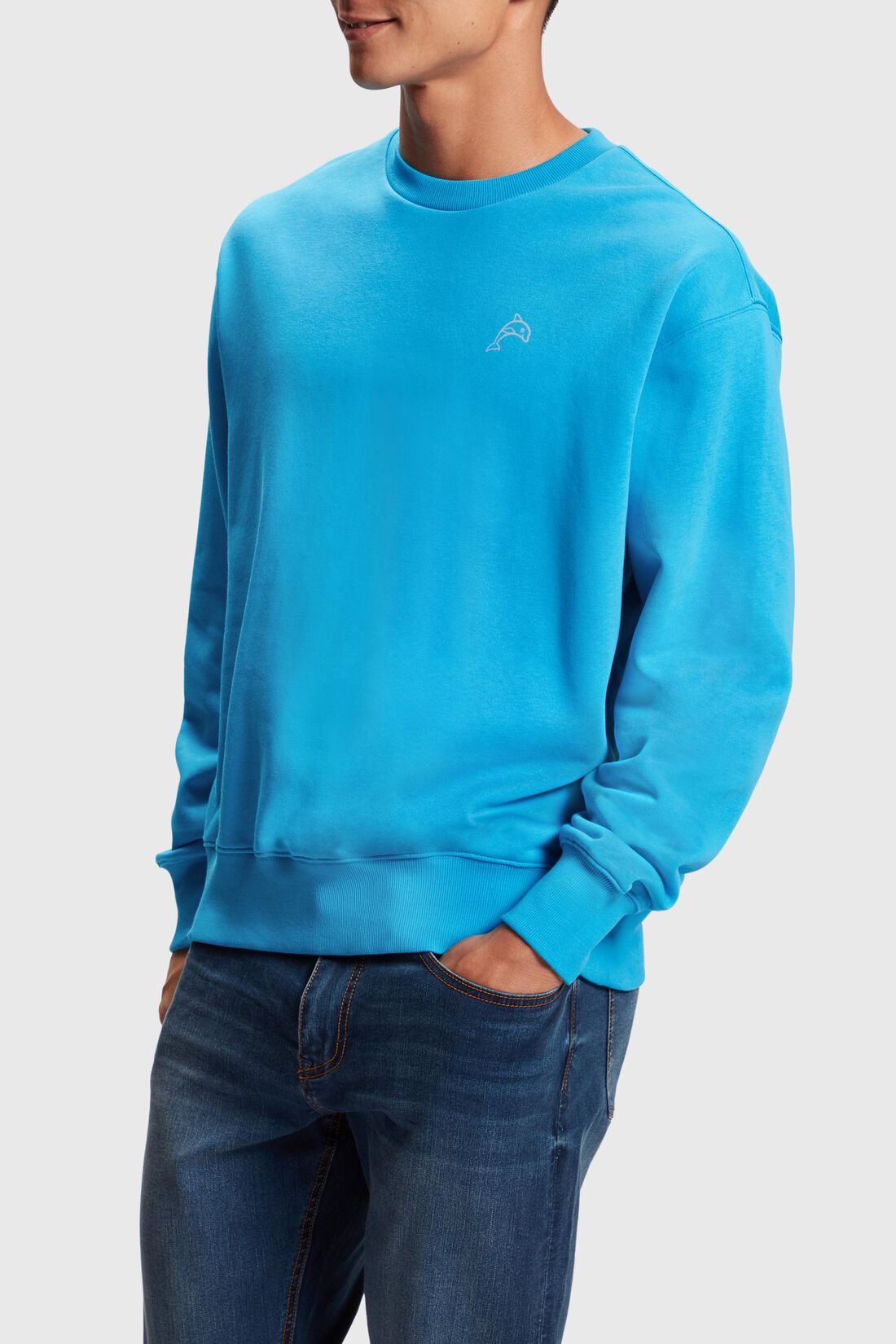 Color Dolphin Sweatshirt