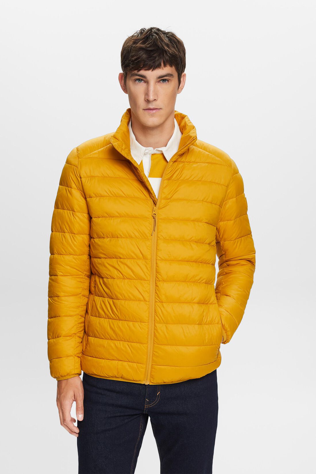 Steppjacke mit hohem Kragen