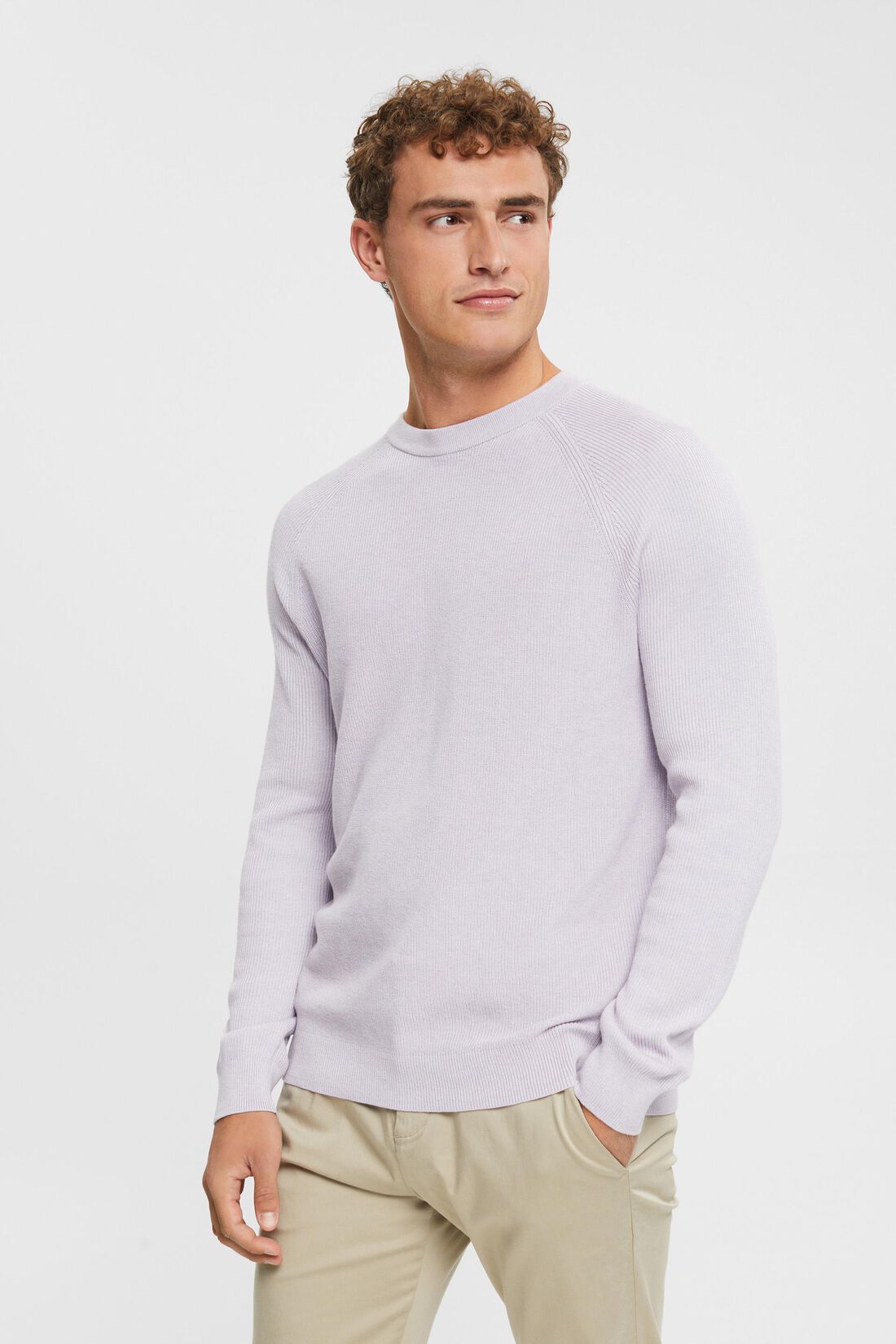Pullover mit Rundhalsausschnitt, 100 % Baumwolle