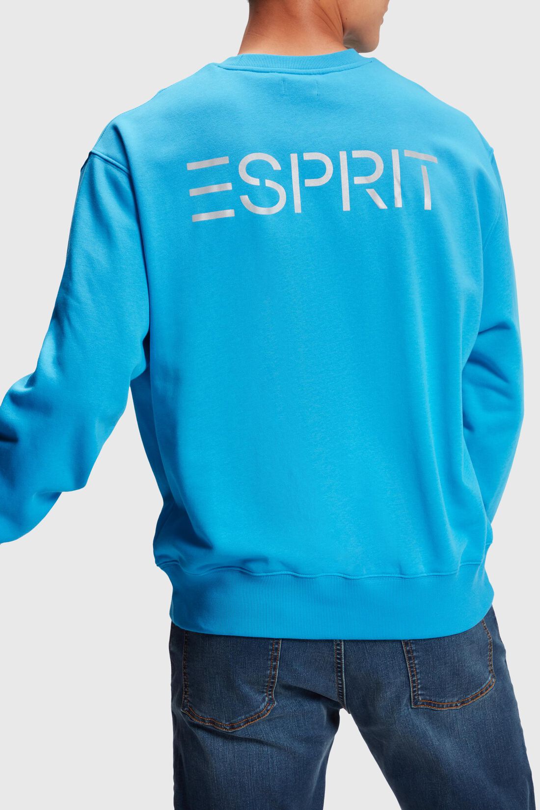 Color Dolphin Sweatshirt