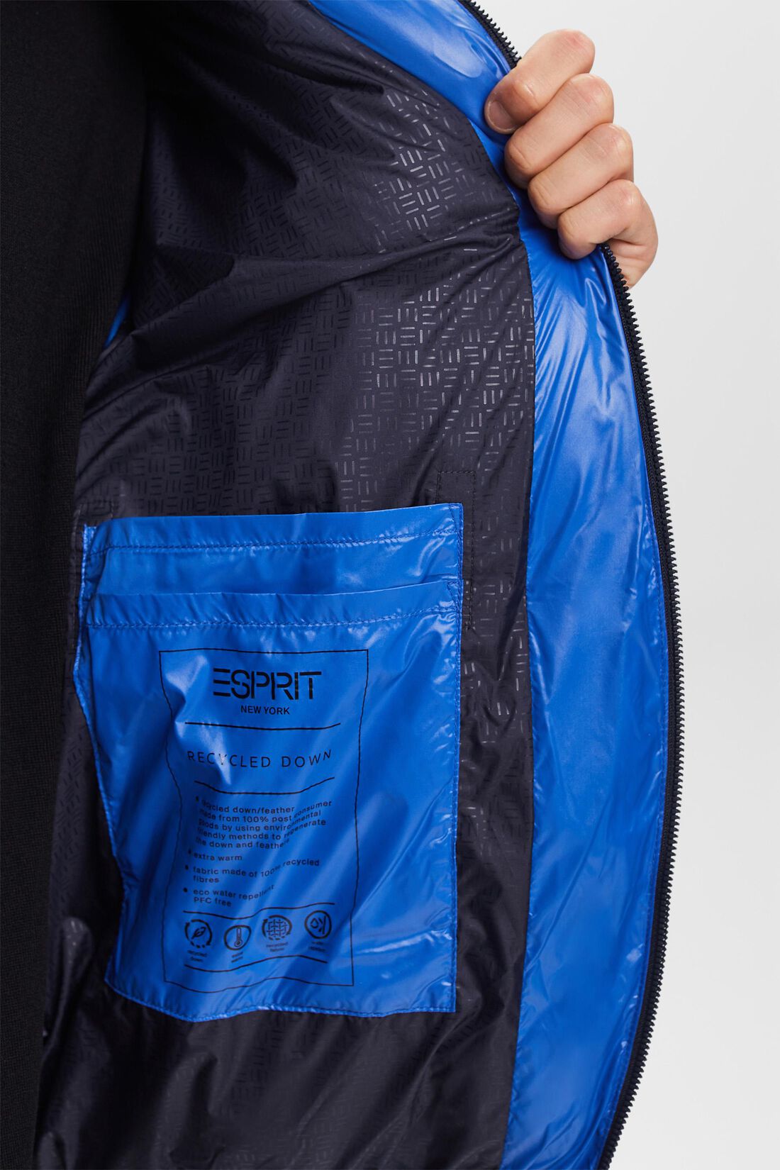 Gl&auml;nzende Steppjacke mit Daunen