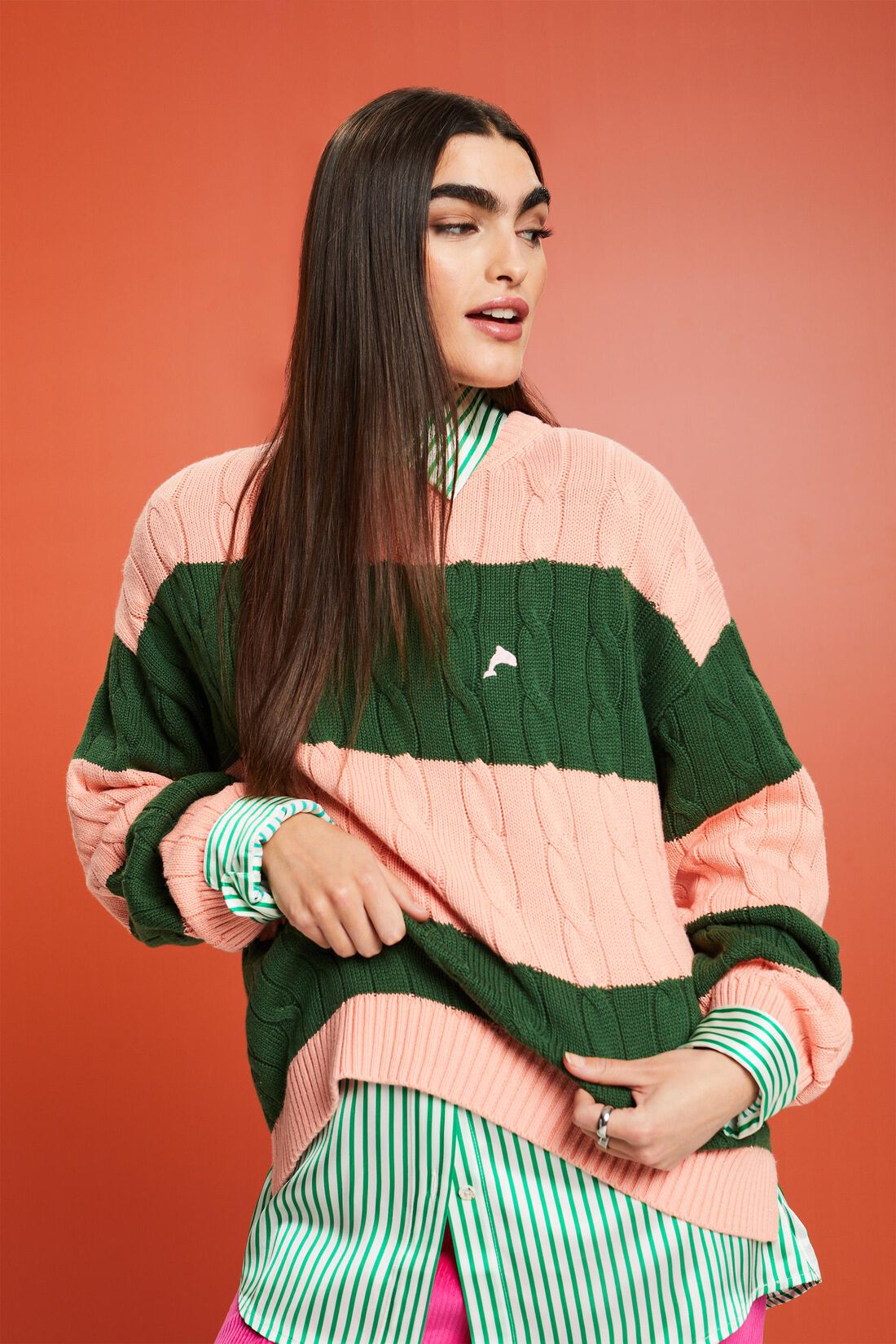 Gestreifter Zopfstrickpullover mit Delfin-Logo