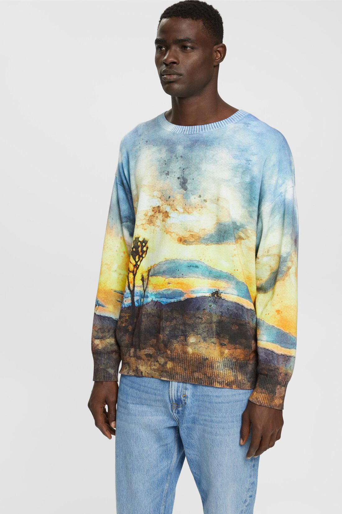 Pullover mit digitalem Allover-Landschafts-Print