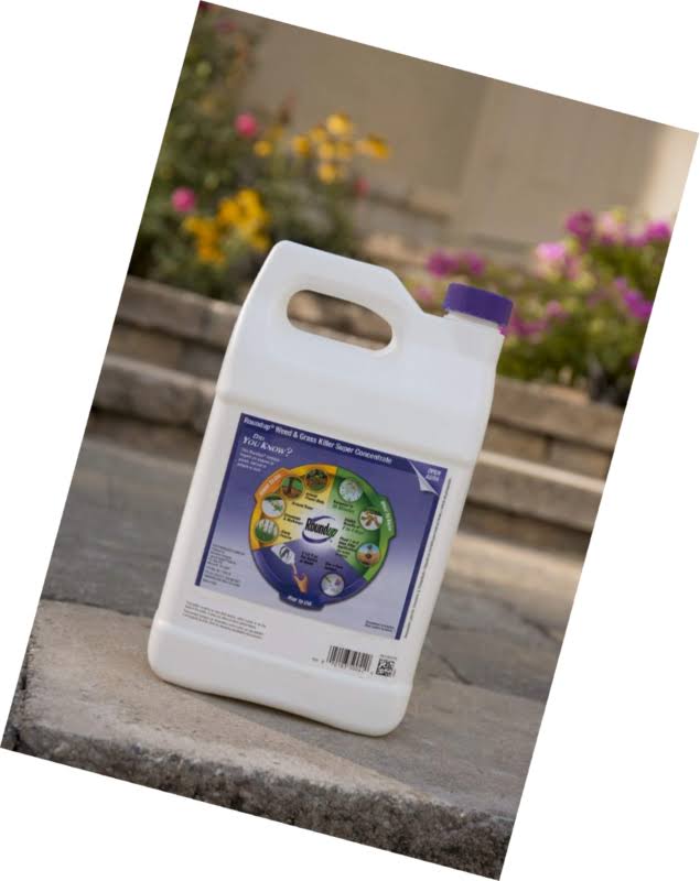 Roundup 1 Gal Super Concentrate Weed u0026 Grass Killer