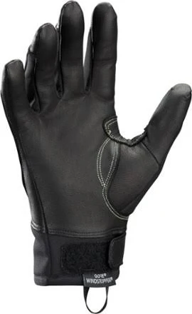 Arc&teryx Alpha SL Glove Black