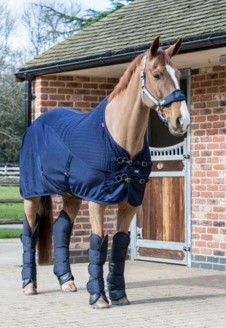 LeMieux Black Carbon Travel Boots