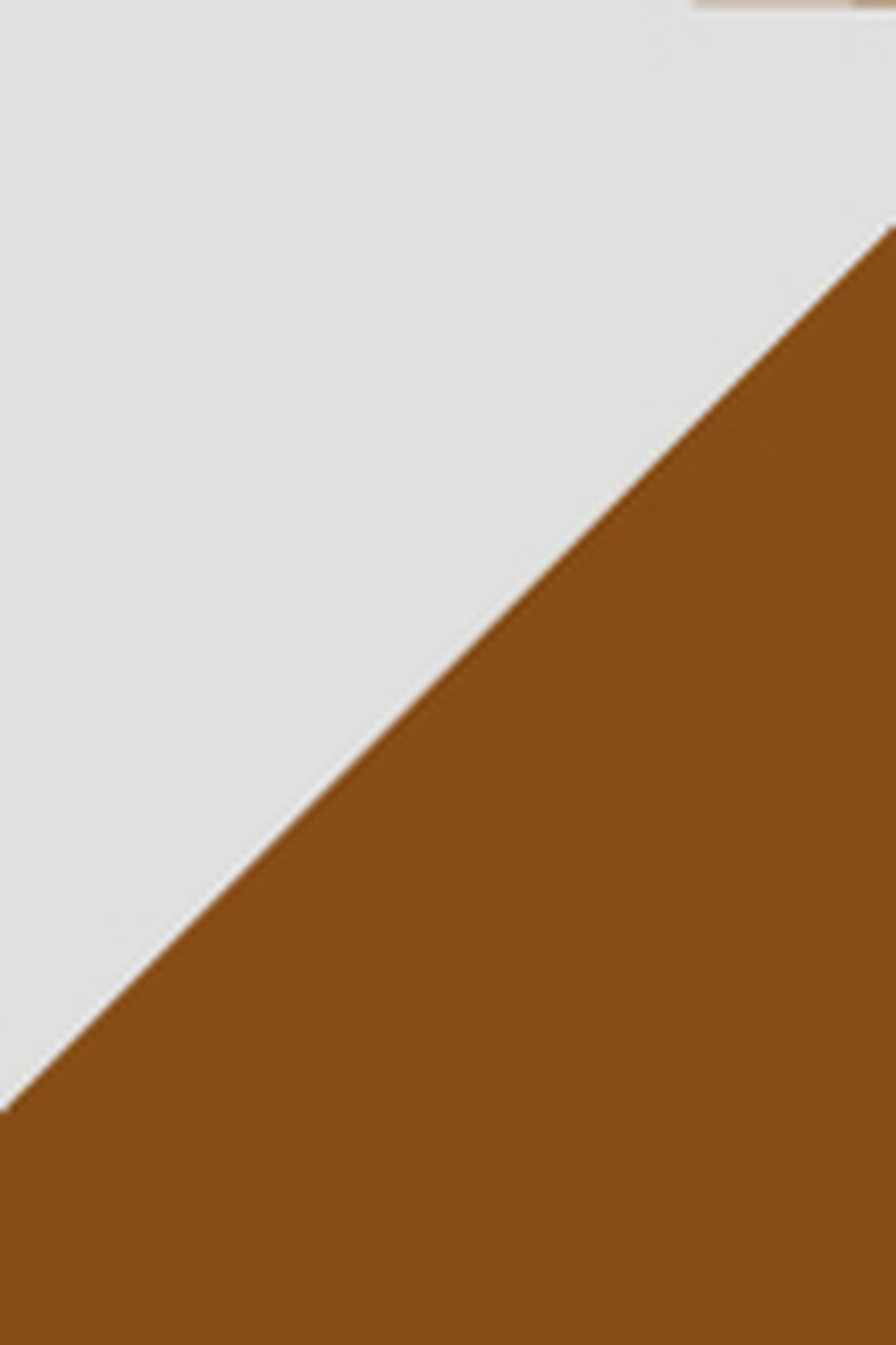 Veja Sneakers - V-10 Leather Extra White/Camel | VX022652