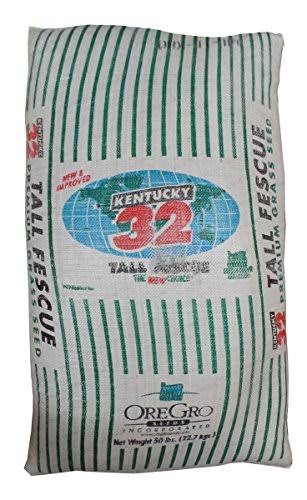 SeedRanch Kentucky 32 Tall Fescue Grass Seed - 20 lbs.