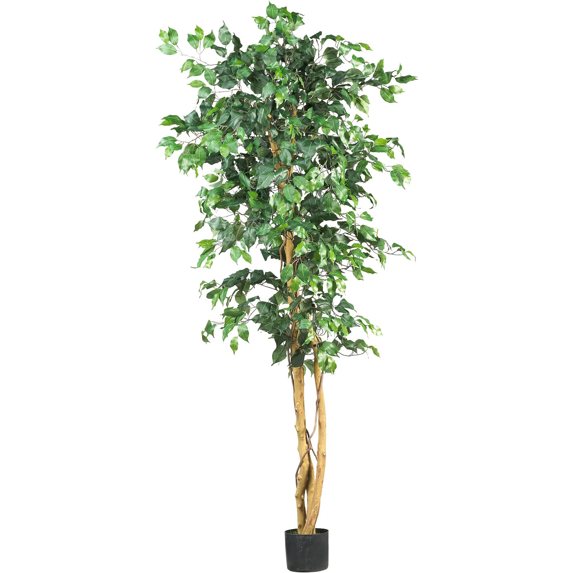 Nearly Natural 6& Ficus Silk Tree