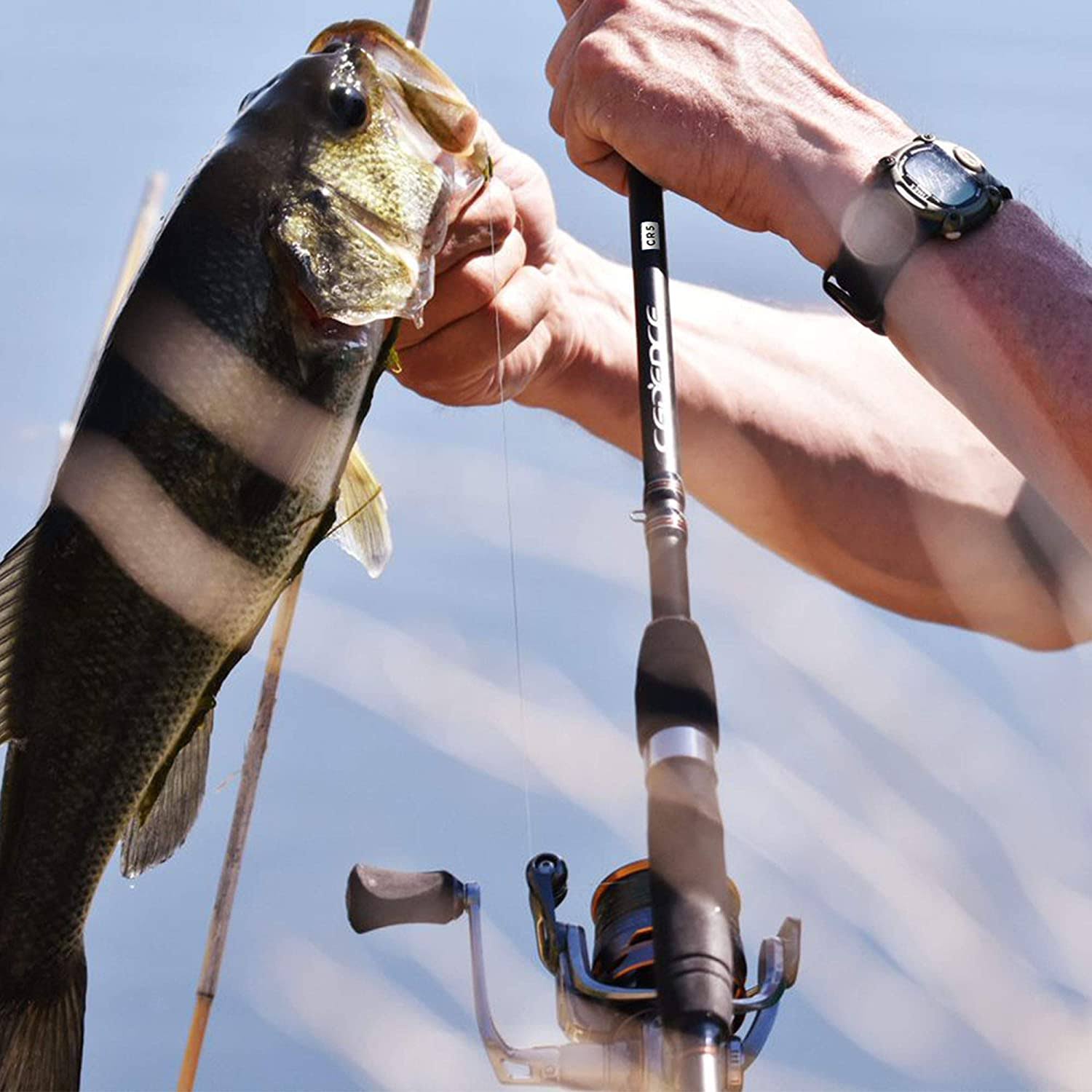 Cadence CS8 Spinning Reel Ultralight Fast Speed Premium Magnesium Frame Fishing Reel with 10 Low Torque Bearings Super Smooth Po