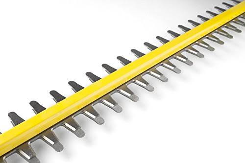 Ego Power+ HT2402 56V 2.5Ah Lithium-Ion Cordless Hedge Trimmer with Battery u0026 Charger Kit, 24x22