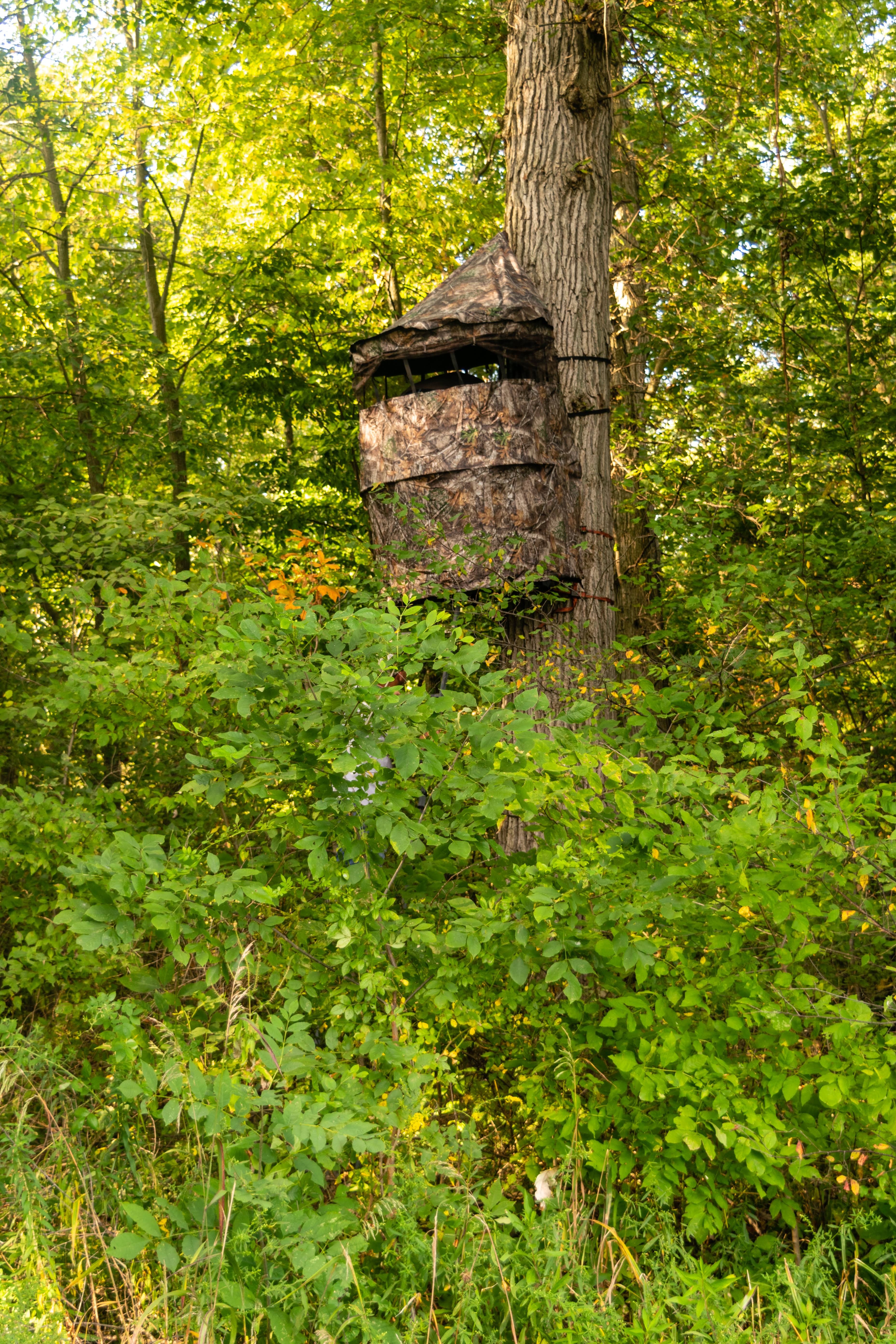 Chameleon Tree Stand Gun Blind by Cooper Hunting Same Day Shipping !
