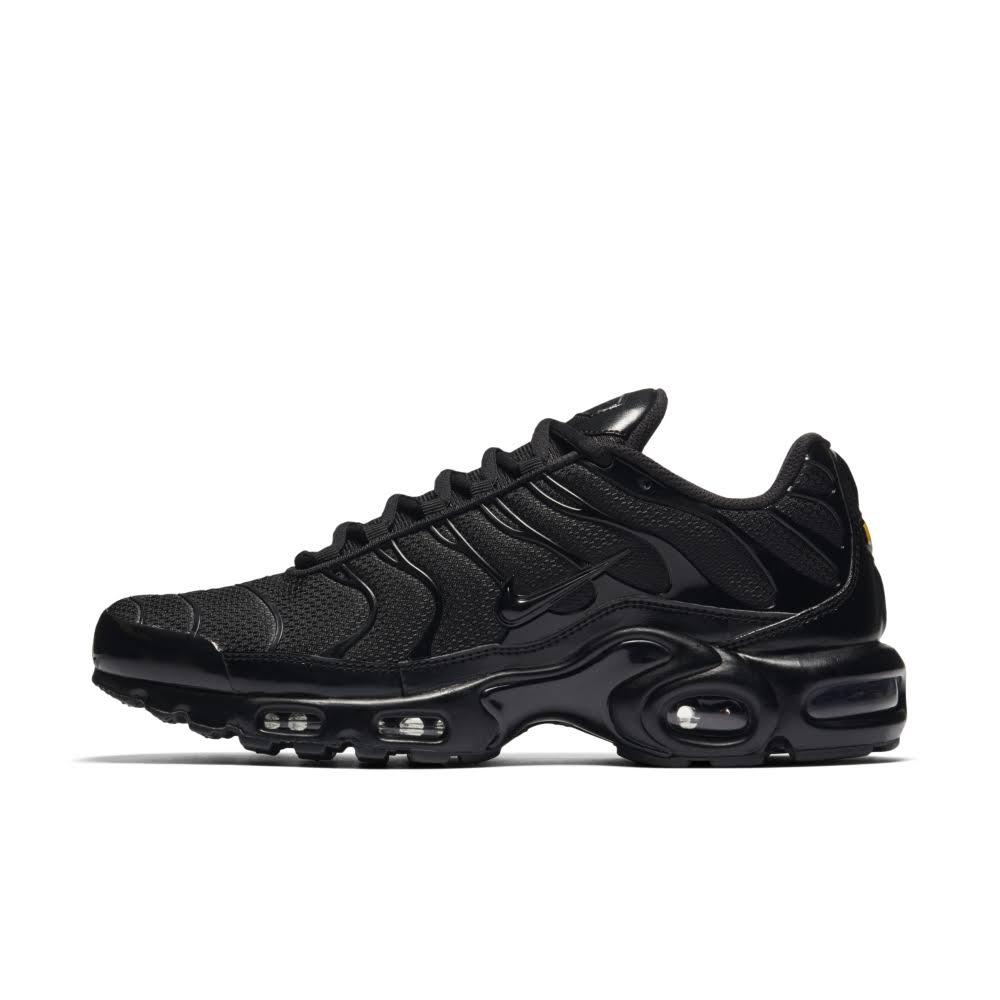 Nike Air Max Plus - 604133-050