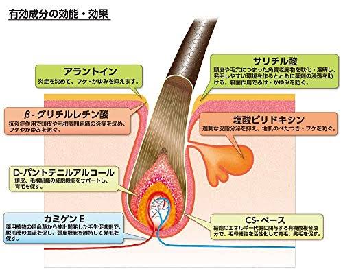 Kaminomoto | Hair Regrowth Treatment | Hair Growth Trigger 180ml
